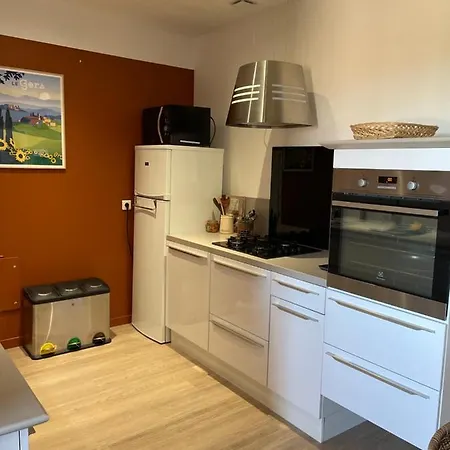 Chez Brunet Chambres D'Hotes Et Gite Lagraulet-du-Gers