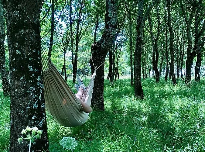 לינה וארוחת בוקר Chez Brunet D'hotes Et