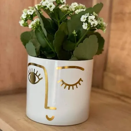 Chez Brunet D'hotes Et 3*