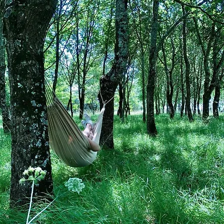 Bed & Breakfast Chez Brunet D'hotes Et