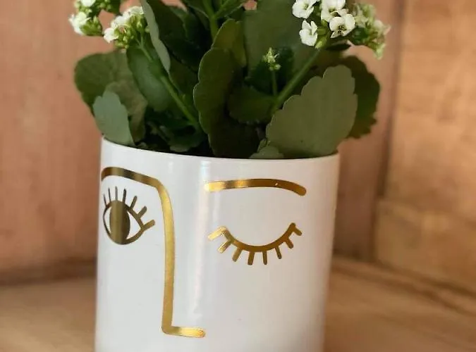 Chez Brunet D'hotes Et 3*